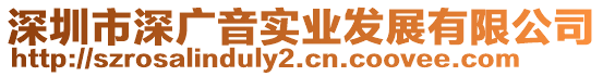 深圳市深廣音實業發展有限公司