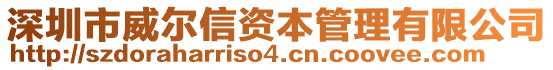 深圳市威爾信資本管理有限公司