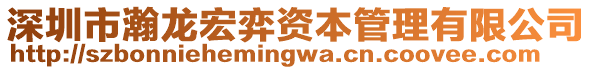 深圳市瀚龍宏弈資本管理有限公司