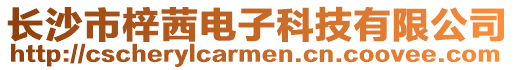 長沙市梓茜電子科技有限公司