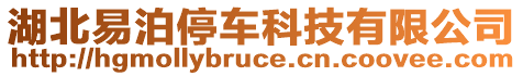 湖北易泊停車科技有限公司