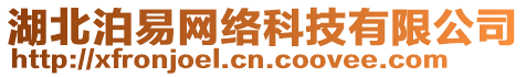 湖北泊易網絡科技有限公司