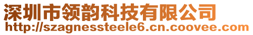 深圳市領(lǐng)韻科技有限公司