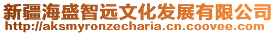 新疆海盛智遠文化發展有限公司