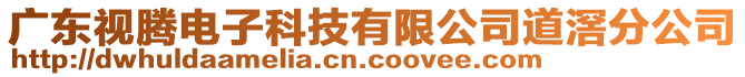 廣東視騰電子科技有限公司道滘分公司