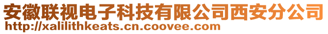 安徽聯(lián)視電子科技有限公司西安分公司