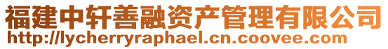 福建中軒善融資產(chǎn)管理有限公司