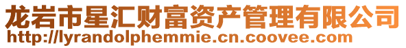 龍巖市星匯財富資產管理有限公司
