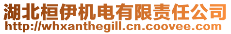 湖北桓伊機電有限責(zé)任公司