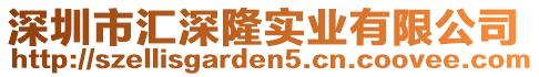 深圳市匯深隆實業有限公司