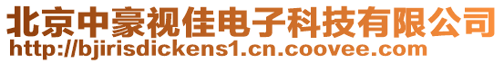 北京中豪視佳電子科技有限公司