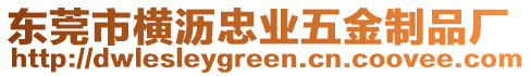 東莞市橫瀝忠業(yè)五金制品廠