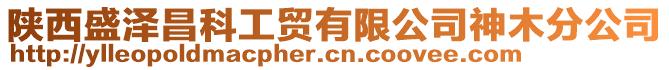 陜西盛澤昌科工貿(mào)有限公司神木分公司