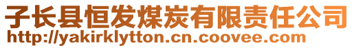 子長縣恒發(fā)煤炭有限責(zé)任公司