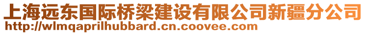 上海遠東國際橋梁建設(shè)有限公司新疆分公司