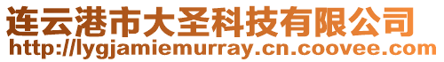 連云港市大圣科技有限公司