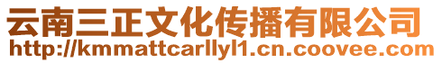 云南三正文化傳播有限公司