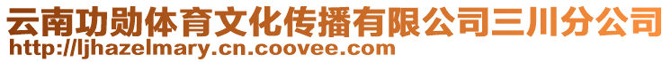 云南功勛體育文化傳播有限公司三川分公司