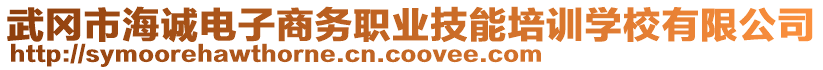 武岡市海誠(chéng)電子商務(wù)職業(yè)技能培訓(xùn)學(xué)校有限公司