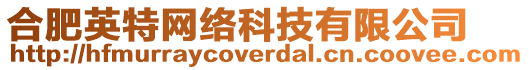 合肥英特網(wǎng)絡(luò)科技有限公司