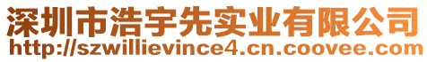 深圳市浩宇先實業有限公司