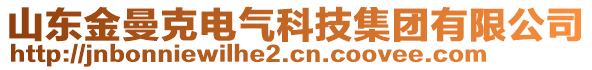 山東金曼克電氣科技集團(tuán)有限公司
