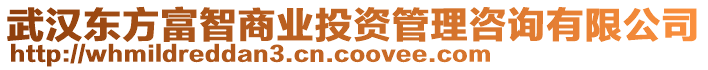 武漢東方富智商業投資管理咨詢有限公司