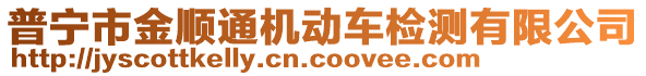 普寧市金順通機(jī)動車檢測有限公司