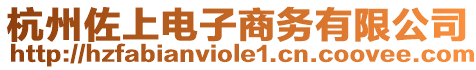 杭州佐上電子商務(wù)有限公司