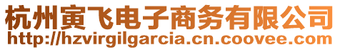杭州寅飛電子商務有限公司