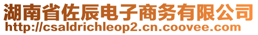 湖南省佐辰電子商務(wù)有限公司