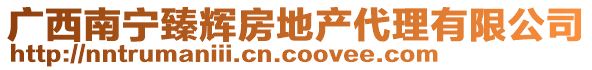 廣西南寧臻輝房地產(chǎn)代理有限公司