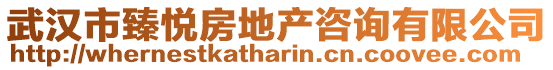 武漢市臻悅房地產咨詢有限公司