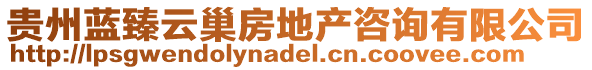 貴州藍(lán)臻云巢房地產(chǎn)咨詢有限公司