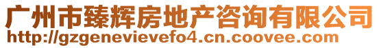 廣州市臻輝房地產(chǎn)咨詢(xún)有限公司