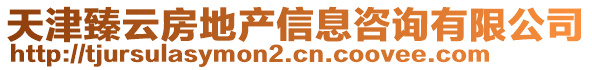 天津臻云房地產(chǎn)信息咨詢有限公司