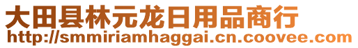 大田县林元龙日用品商行