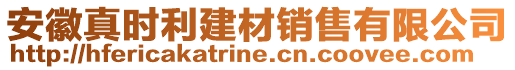 安徽真時利建材銷售有限公司