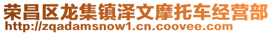 榮昌區(qū)龍集鎮(zhèn)澤文摩托車(chē)經(jīng)營(yíng)部