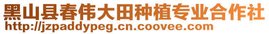 黑山縣春偉大田種植專業合作社