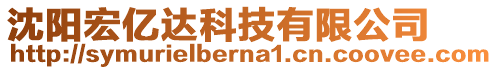 沈陽(yáng)宏億達(dá)科技有限公司