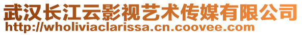 武漢長江云影視藝術傳媒有限公司