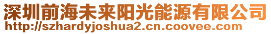 深圳前海未來陽光能源有限公司