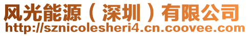 風(fēng)光能源（深圳）有限公司