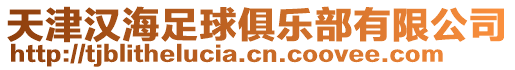 天津漢海足球俱樂部有限公司