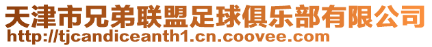 天津市兄弟聯(lián)盟足球俱樂部有限公司