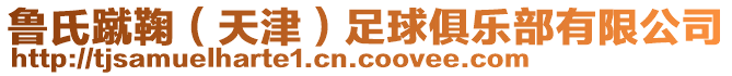 魯氏蹴鞠（天津）足球俱樂部有限公司