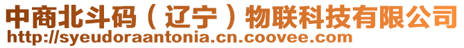 中商北斗碼(遼寧)物聯科技有限公司