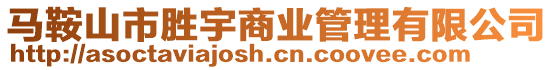 馬鞍山市勝宇商業(yè)管理有限公司