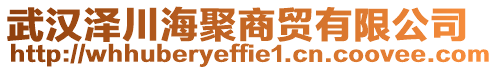 武漢澤川海聚商貿(mào)有限公司